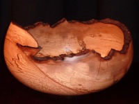 Esche verpilzt DM 35cm, Höhe 15cm, Wandstärke 15mm Esche verpilzt DM 35cm, Höhe 15cm, Wandstärke 15mm