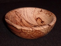 Buche verpilzt DM 25cm, Höhe 8cm, Wandstärke 10mm Buche verpilzt DM 25cm, Höhe 8cm, Wandstärke 10mm