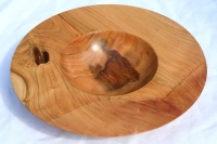 Zwetschge DM 36cm, Höhe 8cm